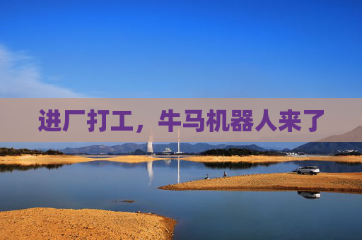 进厂打工，牛马机器人来了