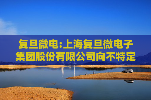 复旦微电:上海复旦微电子集团股份有限公司向不特定对象发行可转换公司债券证券募集说明书（注册稿之2024年度财务数据更新版）