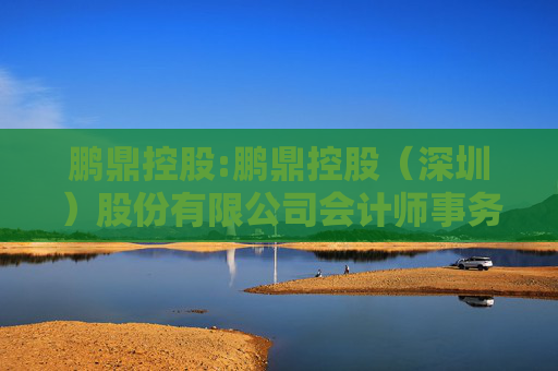 鹏鼎控股:鹏鼎控股（深圳）股份有限公司会计师事务所选聘制度
