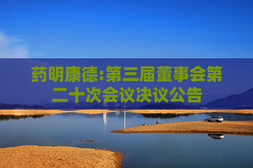 药明康德:第三届董事会第二十次会议决议公告