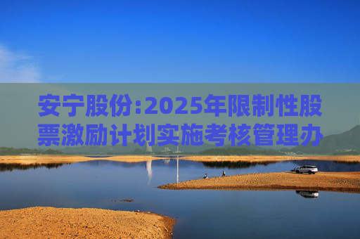 安宁股份:2025年限制性股票激励计划实施考核管理办法