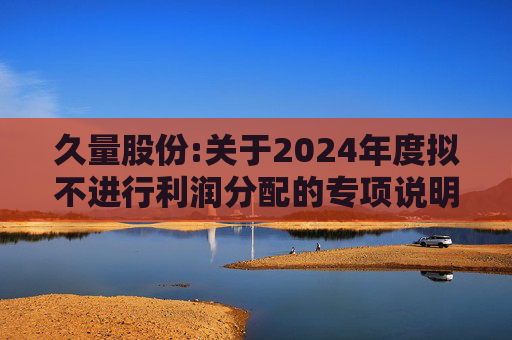 久量股份:关于2024年度拟不进行利润分配的专项说明  第1张