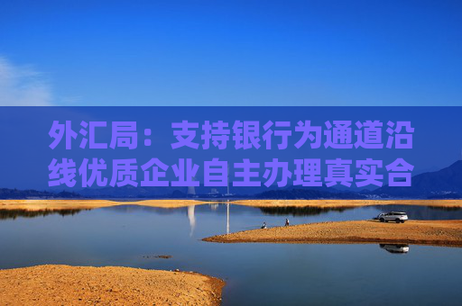 外汇局：支持银行为通道沿线优质企业自主办理真实合规的新型离岸贸易跨境资金结算