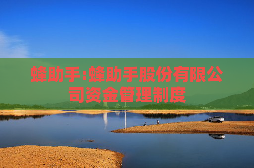 蜂助手:蜂助手股份有限公司资金管理制度