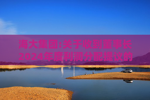 海大集团:关于收到董事长2024年度利润分配提议的公告