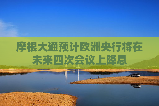 摩根大通预计欧洲央行将在未来四次会议上降息  第1张
