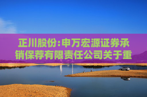 正川股份:申万宏源证券承销保荐有限责任公司关于重庆正川医药包装材料股份有限公司2024年度募集资金存放与使用情况的专项核查报告