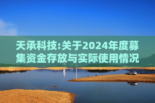 天承科技:关于2024年度募集资金存放与实际使用情况的专项报告  第1张
