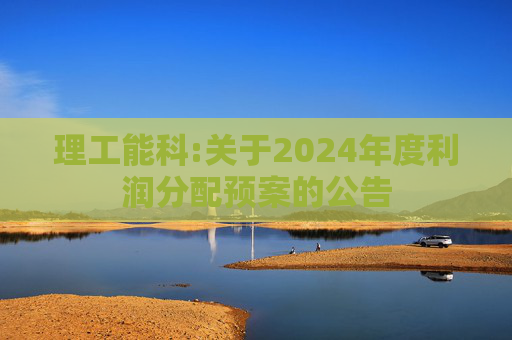 理工能科:关于2024年度利润分配预案的公告