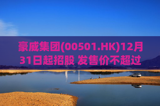 豪威集团(00501.HK)12月31日起招股 发售价不超过104.80港元/股
