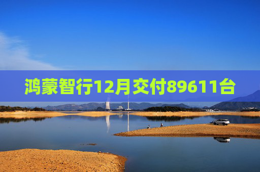 鸿蒙智行12月交付89611台