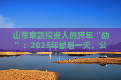 山东章鼓投资人的跨年“劫”：2025年最后一天，公司披露被中国证监会立案调查