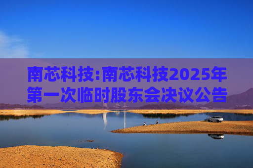 南芯科技:南芯科技2025年第一次临时股东会决议公告  第1张