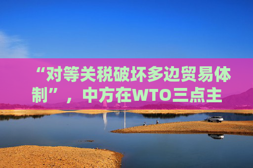 “对等关税破坏多边贸易体制”，中方在WTO三点主张发言，引发广泛呼应  第1张