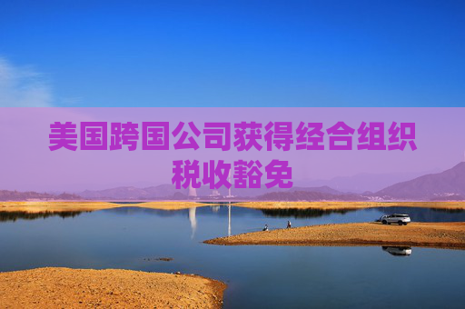 美国跨国公司获得经合组织税收豁免