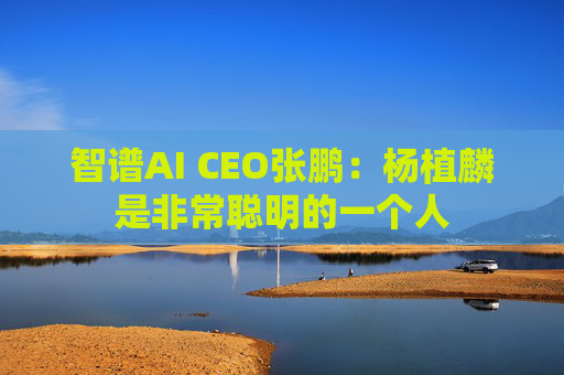 智谱AI CEO张鹏：杨植麟是非常聪明的一个人