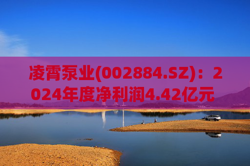 凌霄泵业(002884.SZ)：2024年度净利润4.42亿元 拟10派10元