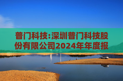 普门科技:深圳普门科技股份有限公司2024年年度报告  第1张