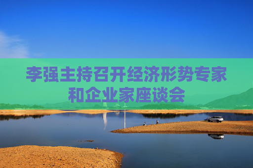 李强主持召开经济形势专家和企业家座谈会  第1张