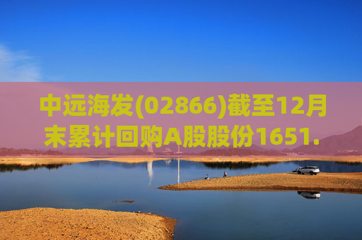 中远海发(02866)截至12月末累计回购A股股份1651.63万股  第1张
