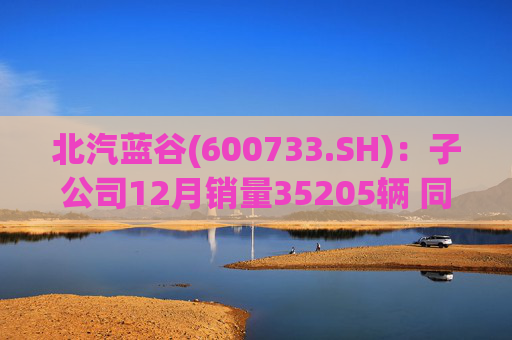 北汽蓝谷(600733.SH)：子公司12月销量35205辆 同比增长114.56%  第1张