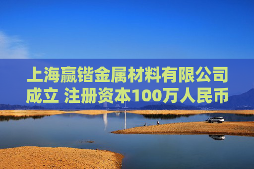 上海赢锴金属材料有限公司成立 注册资本100万人民币