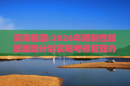 滨海能源:2026年限制性股票激励计划实施考核管理办法