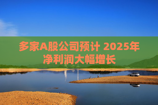 多家A股公司预计 2025年净利润大幅增长  第1张