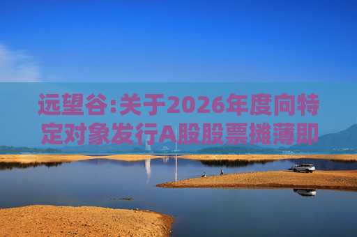 远望谷:关于2026年度向特定对象发行A股股票摊薄即期回报及填补措施和相关主体承诺的公告
