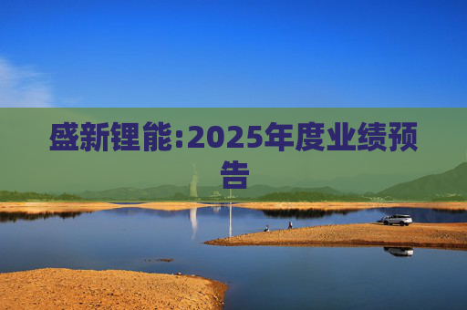 盛新锂能:2025年度业绩预告