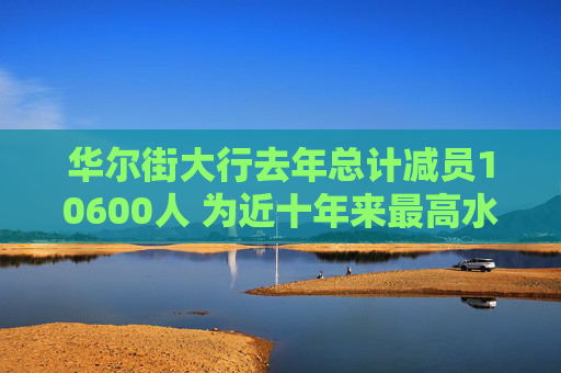 华尔街大行去年总计减员10600人 为近十年来最高水平