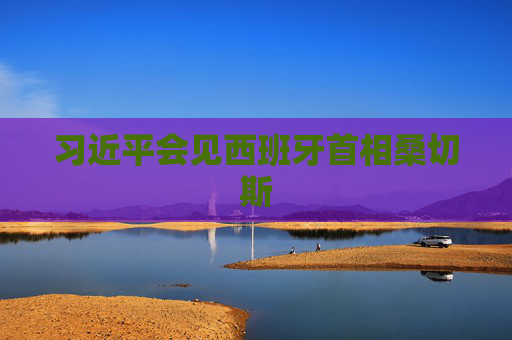 习近平会见西班牙首相桑切斯