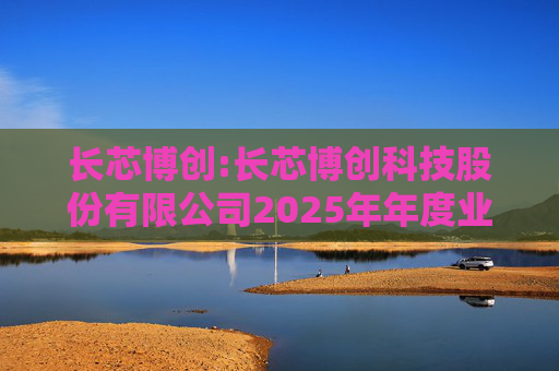 长芯博创:长芯博创科技股份有限公司2025年年度业绩预告