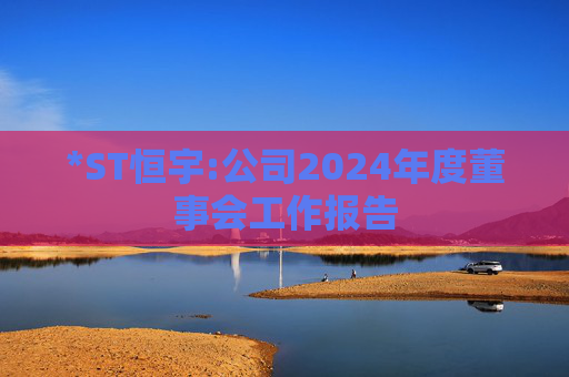 *ST恒宇:公司2024年度董事会工作报告  第1张