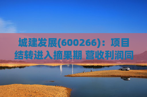 城建发展(600266)：项目结转进入摘果期 营收利润同比大幅提升