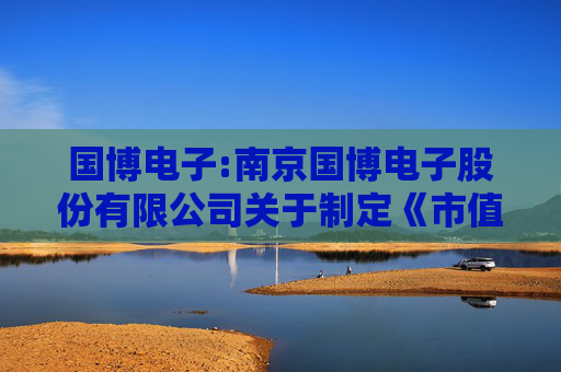 国博电子:南京国博电子股份有限公司关于制定《市值管理办法》的公告