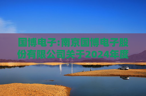 国博电子:南京国博电子股份有限公司关于2024年度募集资金存放与使用情况的专项报告  第1张