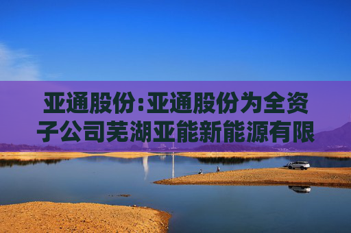 亚通股份:亚通股份为全资子公司芜湖亚能新能源有限责任公司提供担保公告