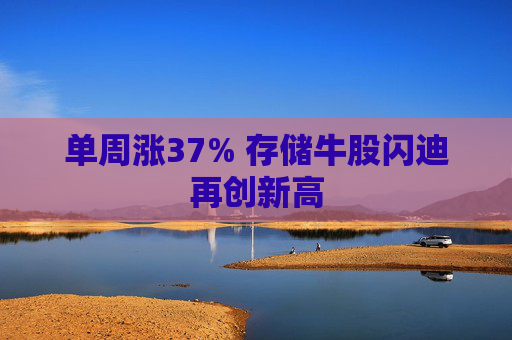 单周涨37% 存储牛股闪迪再创新高