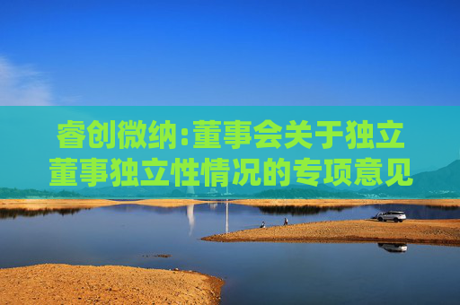 睿创微纳:董事会关于独立董事独立性情况的专项意见  第1张