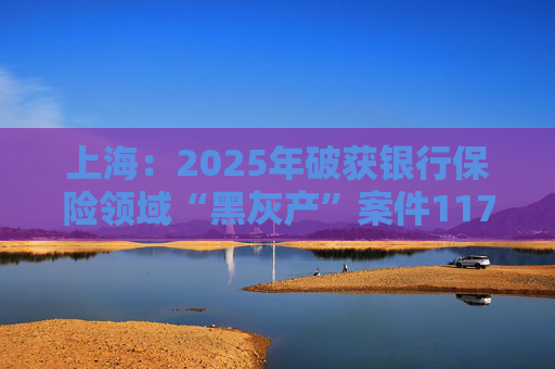上海：2025年破获银行保险领域“黑灰产”案件117起 持续净化金融生态