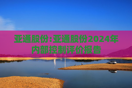 亚通股份:亚通股份2024年内部控制评价报告  第1张