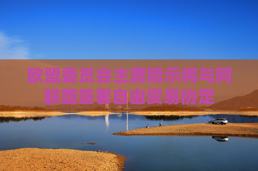 欧盟委员会主席暗示将与阿联酋签署自由贸易协定