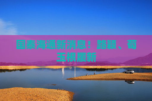 国泰海通新消息！路颖、荀玉根履新  第1张