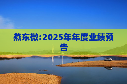 燕东微:2025年年度业绩预告