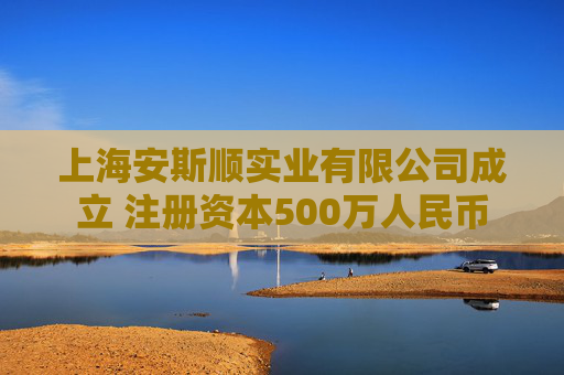 上海安斯顺实业有限公司成立 注册资本500万人民币