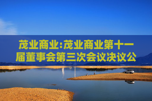 茂业商业:茂业商业第十一届董事会第三次会议决议公告