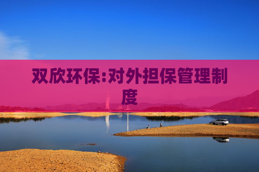 双欣环保:对外担保管理制度