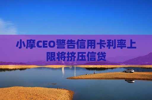 小摩CEO警告信用卡利率上限将挤压信贷