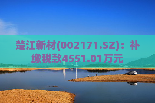 楚江新材(002171.SZ)：补缴税款4551.01万元